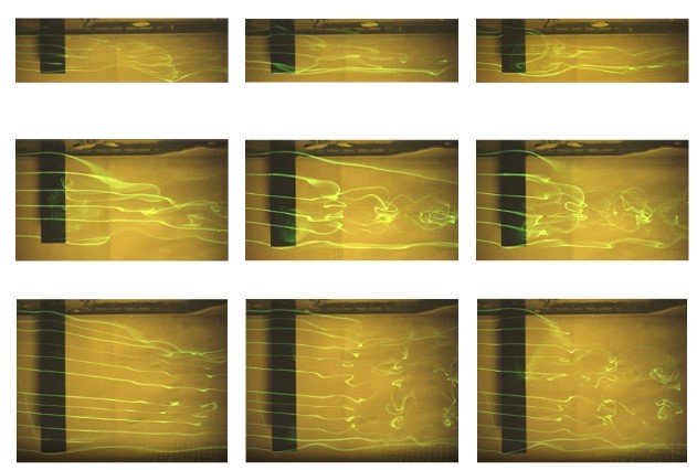 Fluorescent Dye Visualization