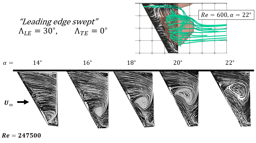 Leading edge swept