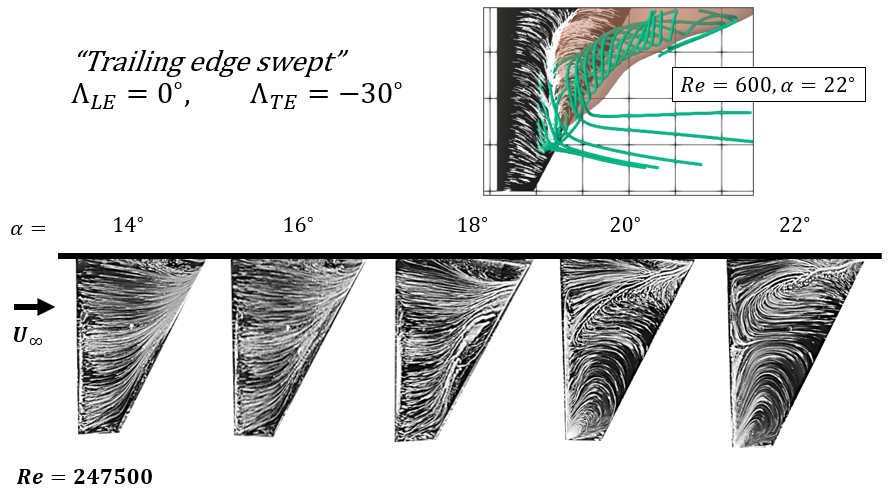 Trailing edge swept