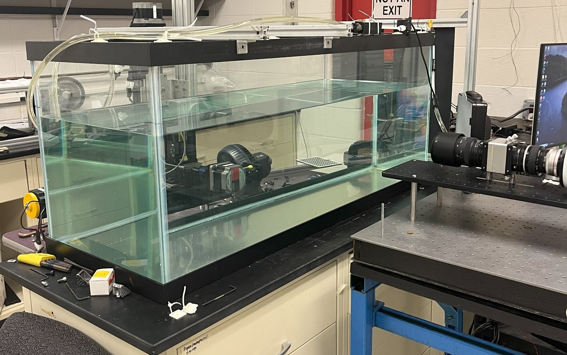 Aquarium set up for PPIV
