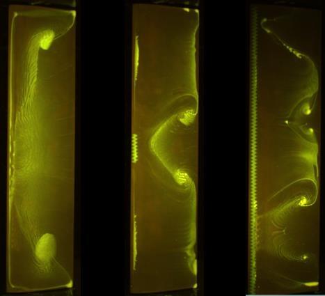 Experimental Investigation and Characterization of Stall Cell Formation