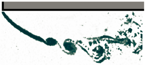 Fundamental Investigation into Spatio-Temporal Interactions on Bluff Bodies